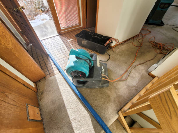 Best Flood damage cleanup  in Morrilton, AR