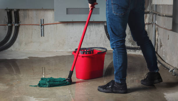 Best Mold removal after water damage  in Morrilton, AR