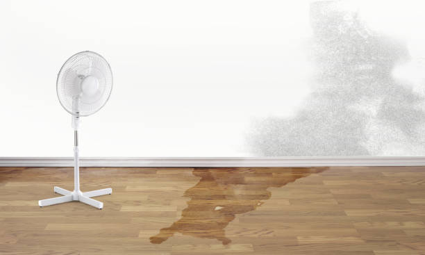 Best Water damage contractors near me  in Morrilton, AR
