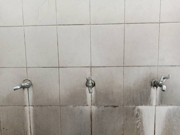 Best Basement water damage restoration  in Morrilton, AR