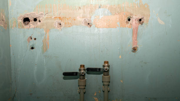Best 24/7 water damage repair  in Morrilton, AR